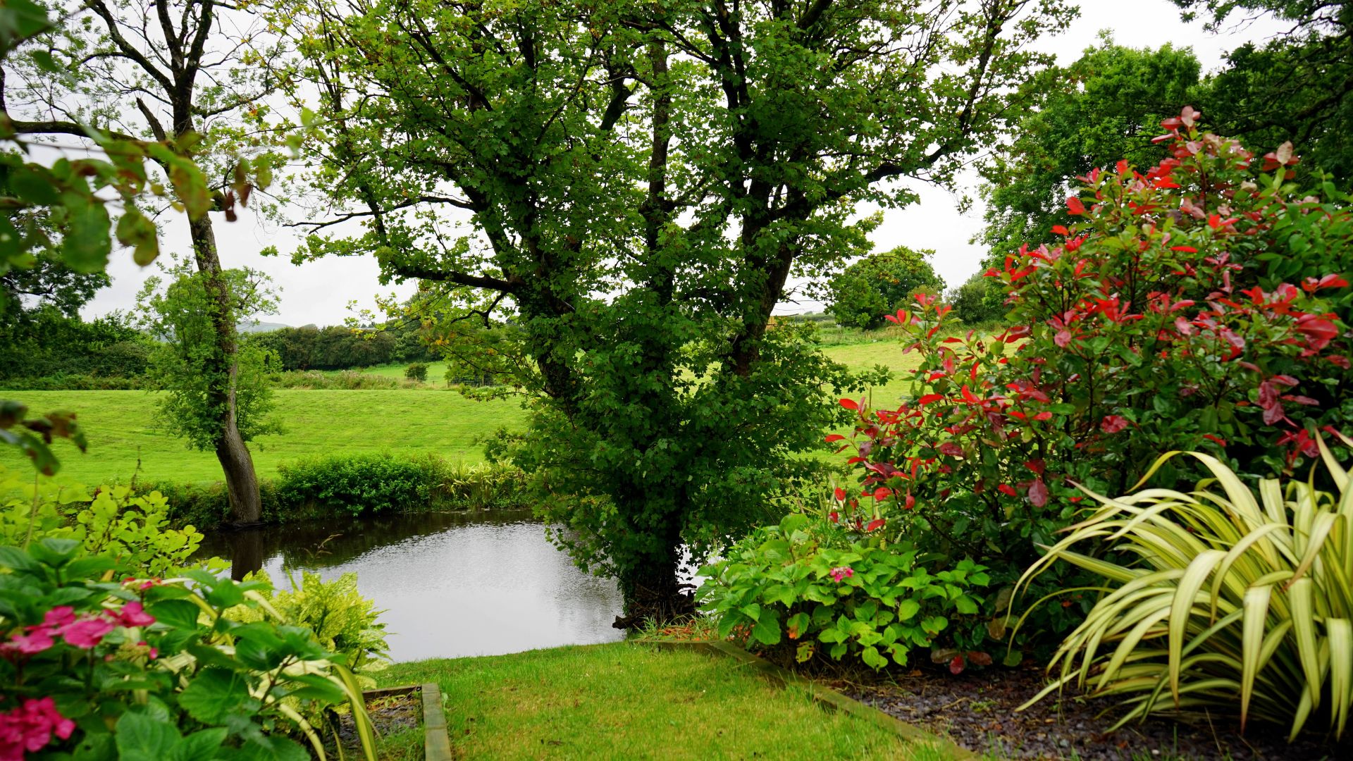Serene landscaped Maryland property with a pristine mowed lawn and pond