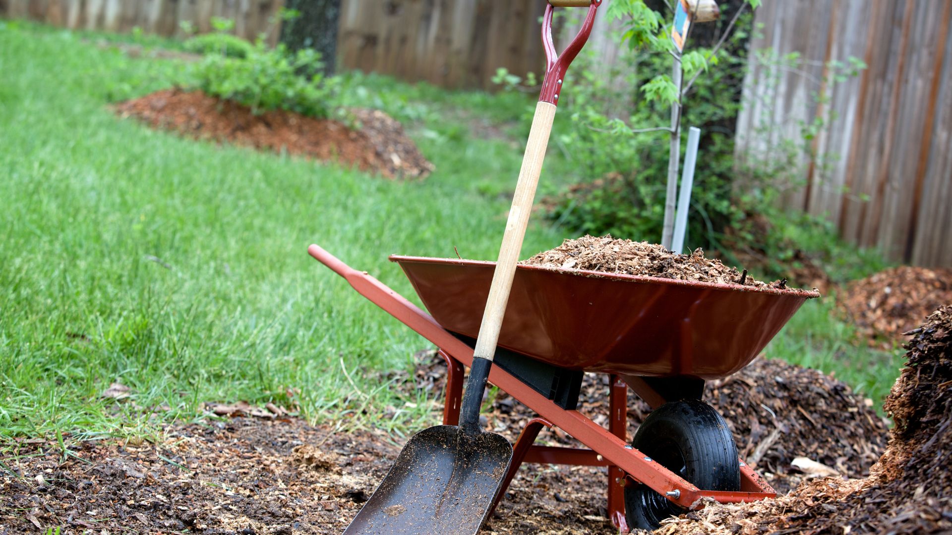 Wheelbarrow loaded with fresh bark mulch for a garden bed installation