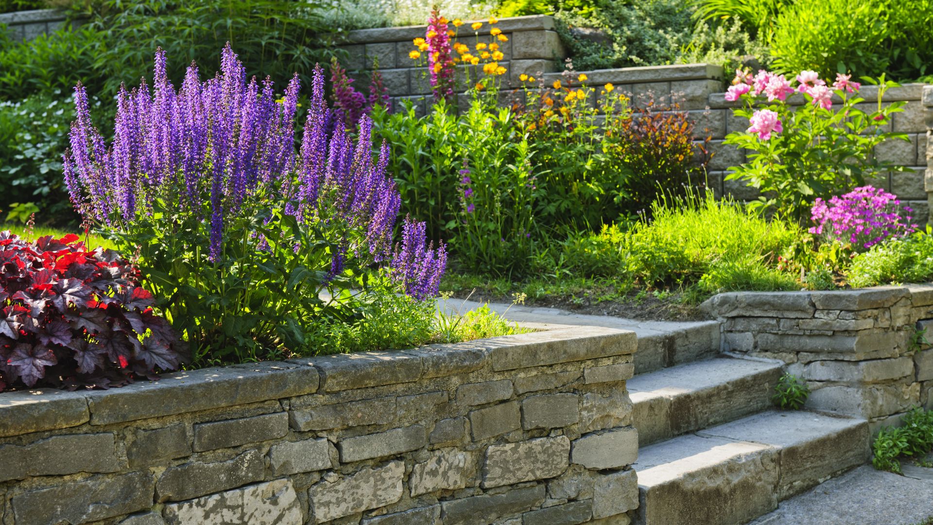 Multi-tiered stone retaining wall with blooming lavender
