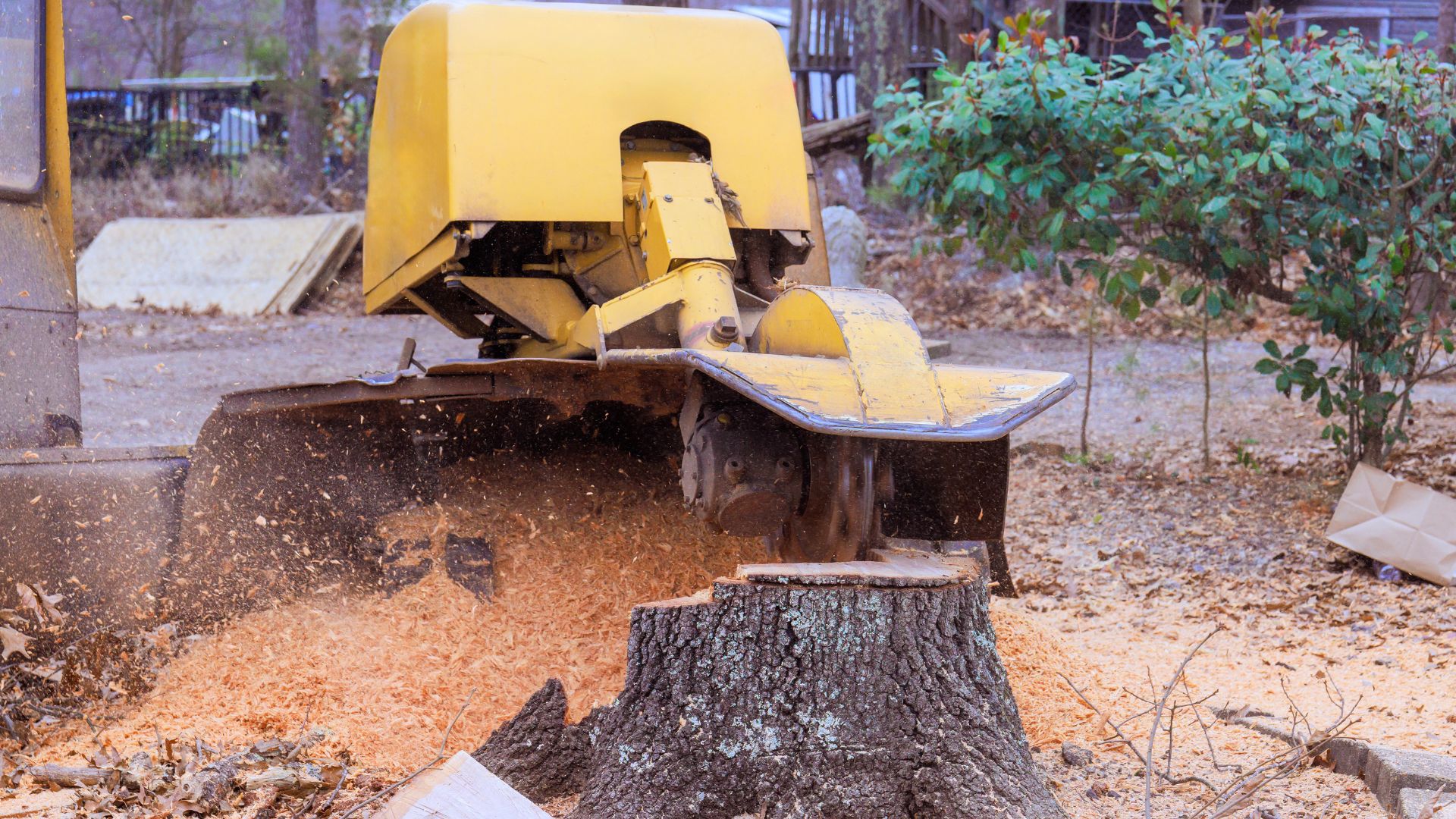 Stump grinder in operation removing a tree stump at a residential property